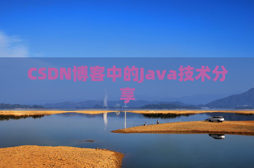 CSDN博客中的Java技术分享